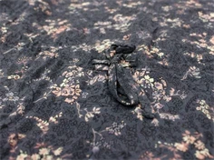 Wheat kjole Bambi greyblue flower